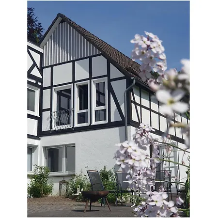 Paradiesken Am Berg * Schmallenberg